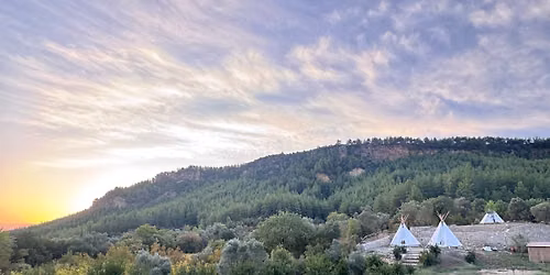 Evergreen Gathering – A Conscious Festival in Nature 🌿