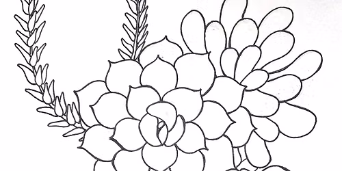 July -4th Saturday :Succulent study