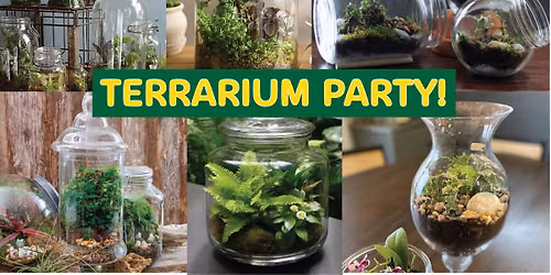 Terrarium Party