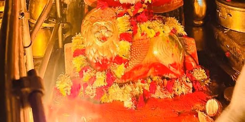 maa