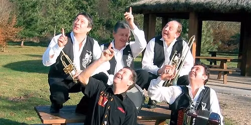 Th\u00e9 Dansant - LES COMPAGNONS DU MUSETTE \ud83e\ude97