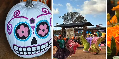 Día de los Muertos at Mellano Farm Stand! Marigold U-pick, Baile folklórico & More! Oceanside