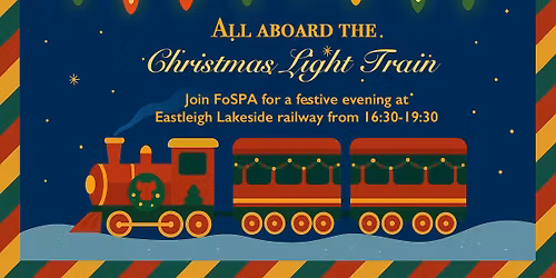 Christmas Light Train