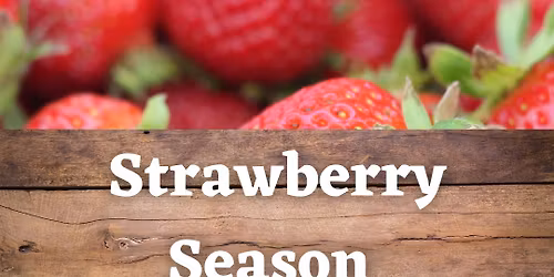 Strawberry Breakfast at Fordyce Farm