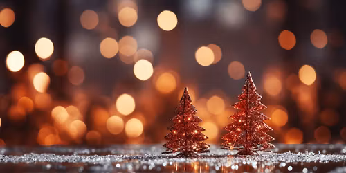 Christmas Shopping Evening