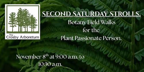 Botany Field Walks for the Plant Passionate Person