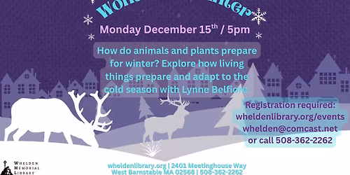 Wonderful Winter: How do animals prepare for winter?