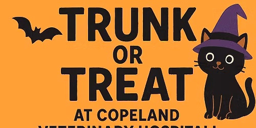 Trunk or Treat