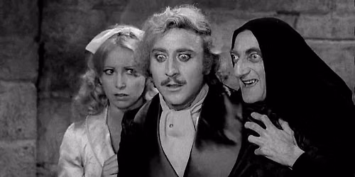 Young Frankenstein in Insole Court