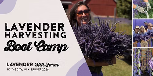 Lavender Harvesting Bootcamp