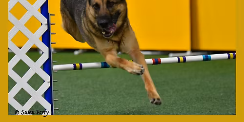 CPE Agility Trial 