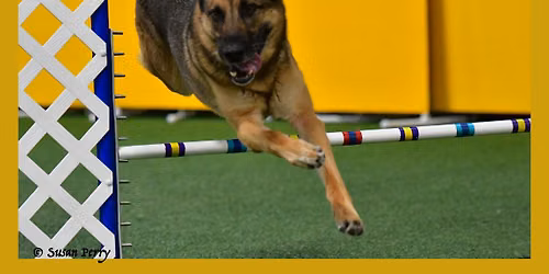 CPE Agility Trial