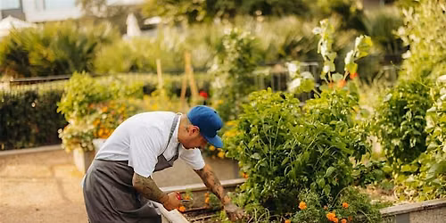 Garden-To-Table: Growing for the Chef