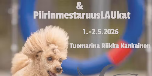VappuLAUkat & PiirinmestaruusLAUkat 