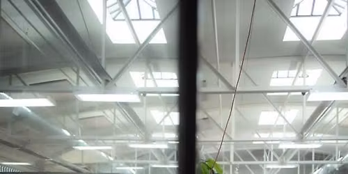 Infinite Roads Events - Indoor Car Show 