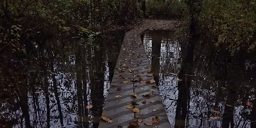  Surrey  Watershed, Burns Bog.