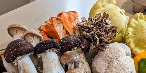 Free Mushroom Cultivation Workshop 