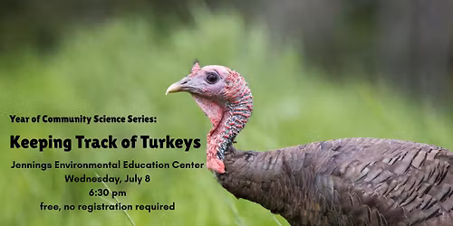 Keeping Track of Turkeys