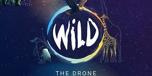WILD: The Drone Light Show - Brighton & Hove