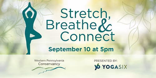 Stretch, Breathe & Connect- Yoga with WPC and YogaSix
