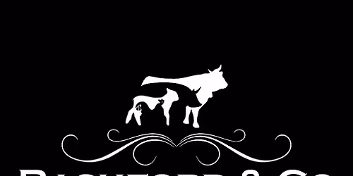 Christmas Competition 