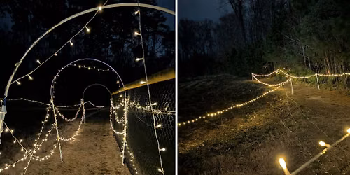 Lost in the (Christmas) Woods Charity 5k Run\/Wal