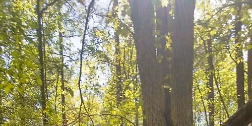 Wilderness Survival Fundamentals Class