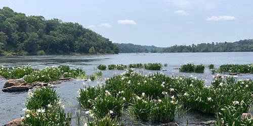 Phinizy Center's River Ecology Conference