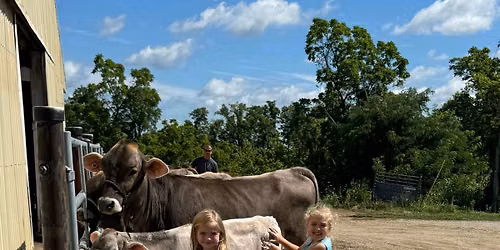 2026 4-H & FFA Open Beef Show