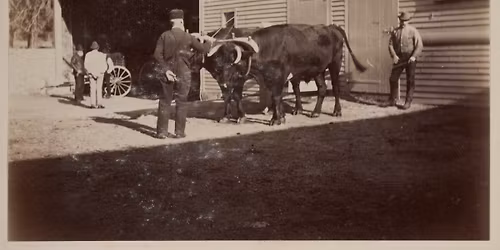  Life of a Laborer, a Working-Class History Tour