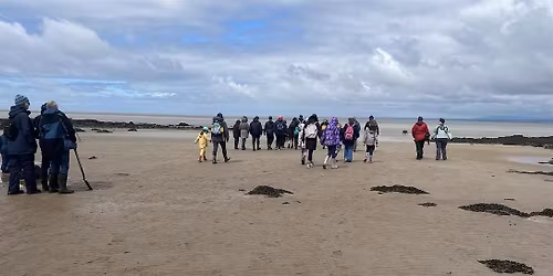 Geology Walk around Half Moon Bay