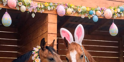 H\u00fasv\u00e9ti Ny\u00edltnap