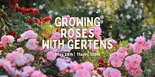 Growing Roses with Gertens