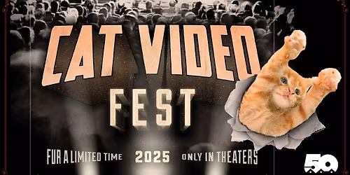 Cat Video Fest 2025