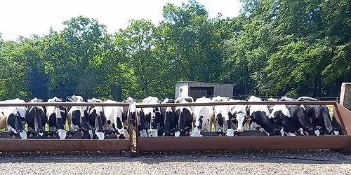 Visite Familles sur r\u00e9servation