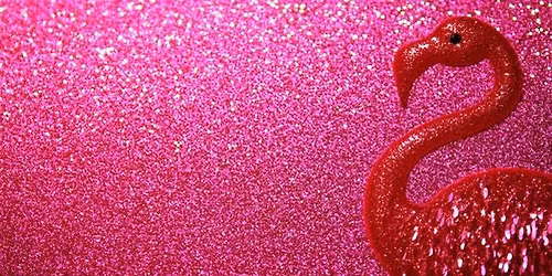 Fairy Hair - Clermont - Scates Realty