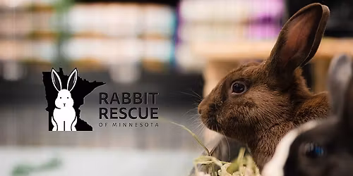 RRMN Romp & Spa\/ Nail Trim Event