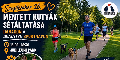 Mentett kuty\u00e1k s\u00e9t\u00e1ltat\u00e1sa Dabason a #Beactive Sportnapon
