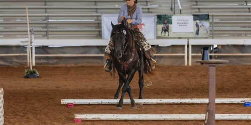 USA Working Equitation Licensed Show May 2026 @ Brandreth Farms
