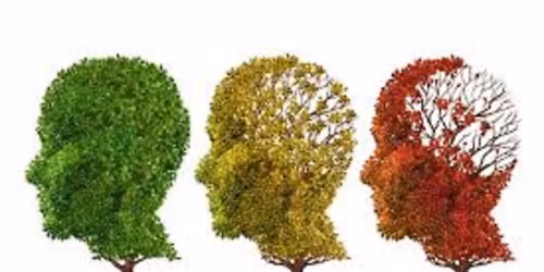 Co-design workshops: Animal therapy for people with dementia