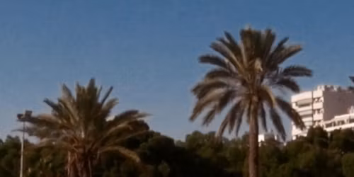 10 x 10: Dance on Film 