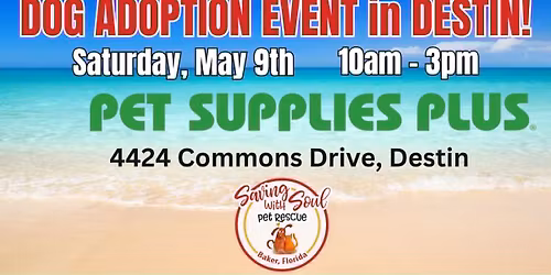 Destin Adoption Event!