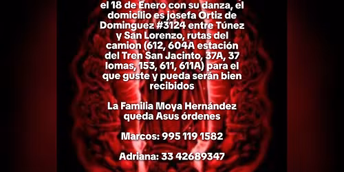 festividad de la virgen de Guadalupe familia Moya Hern\u00e1ndez