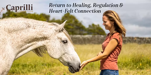 Become a Certified Equine Coach | International Training in The Netherlands