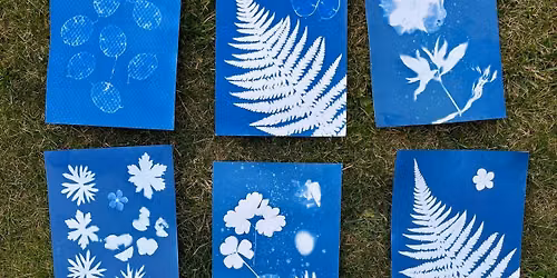 Explore Cyanotype Printing at The Grange
