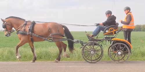 DERBY BURTHECOURT aux CHENES