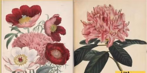 Unearthed Exhibition at #HuntingdonLibrary