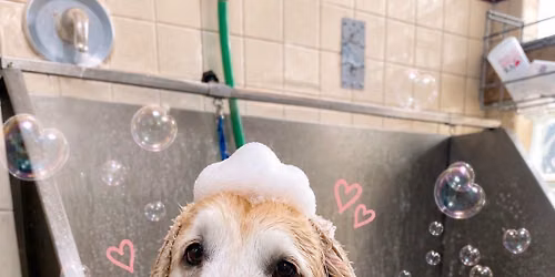 GRFR Dog Wash