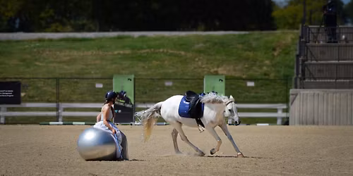 Liberty Performance Night at Unexpected Farm