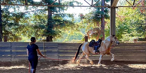 Ladies\u2019 Night at Windswept Ranch \ud83e\udd42\u2764\ufe0f\ud83d\udc34